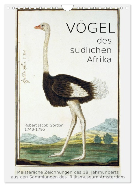 Vögel des südlichen Afrika (Wandkalender 2026 DIN A4 hoch), CALVENDO Monatskalender - Jost Galle