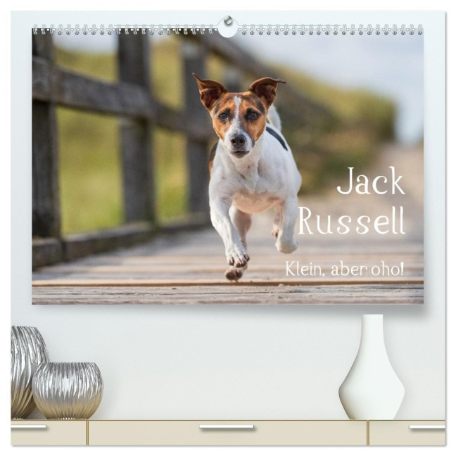 Jack Russell - Klein, aber oho! (hochwertiger Premium Wandkalender 2026 DIN A2 quer), Kunstdruck in Hochglanz - Annett Mirsberger Tierpfoto. De