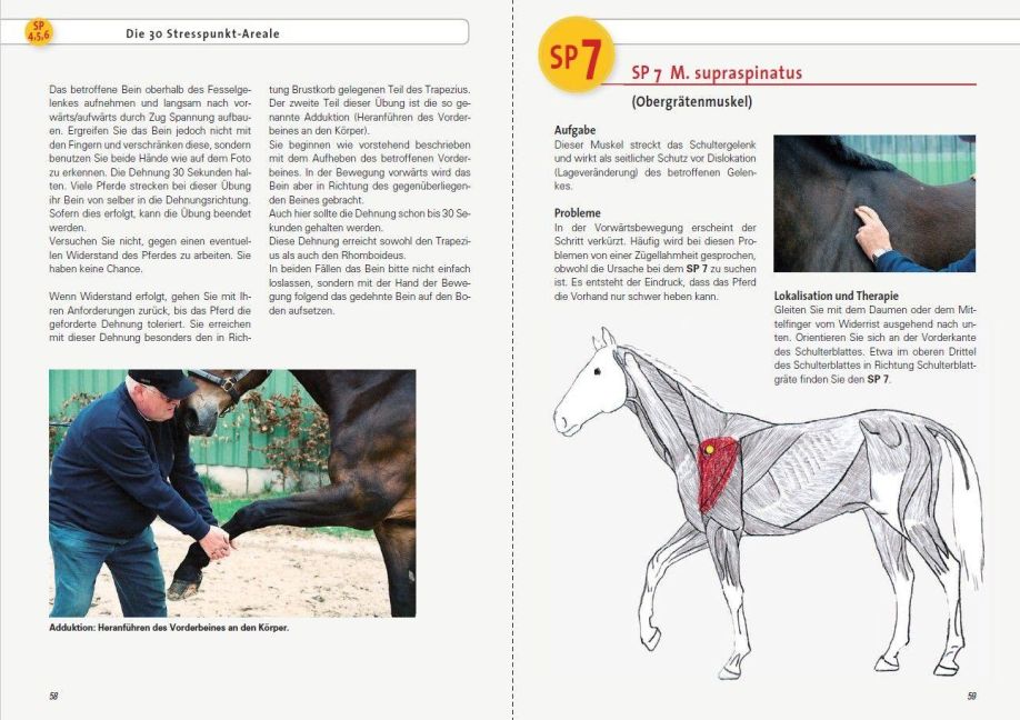 InsideView 6