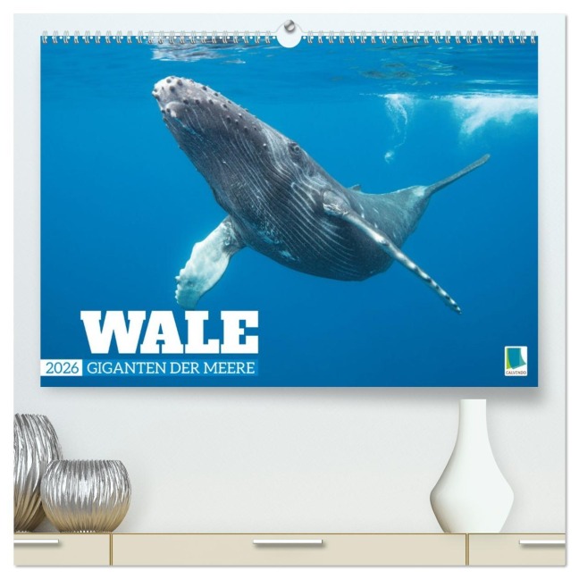 Wale: Giganten der Meere (hochwertiger Premium Wandkalender 2026 DIN A2 quer), Kunstdruck in Hochglanz - Calvendo Calvendo