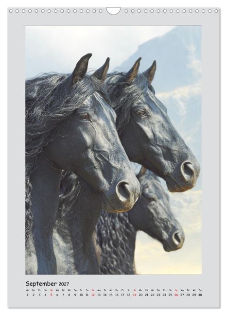 InsideView 14