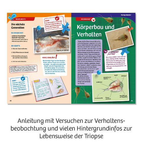 InsideView 4
