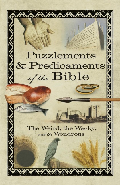Puzzlements & Predicaments of the Bible - Linda Washington, Betsy Todt Schmitt, Gene Smillie