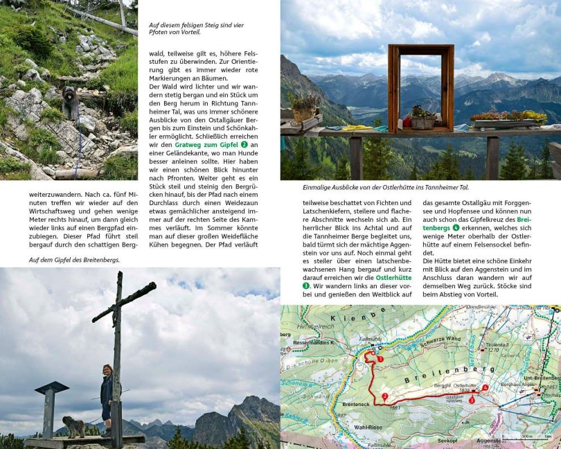 InsideView 5