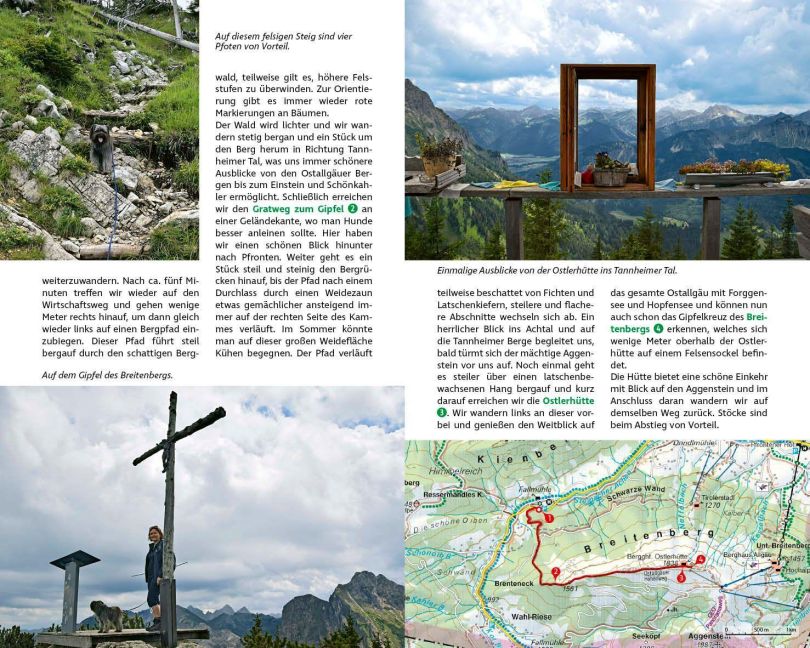 InsideView 5