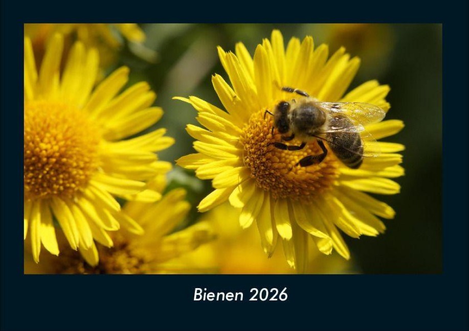 Bienen 2026 Fotokalender DIN A4 - Tobias Becker