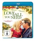 Cover-Bild zum Titel 'Love is all you need' von 'Anders Thomas Jensen, Johan Söderqvist'