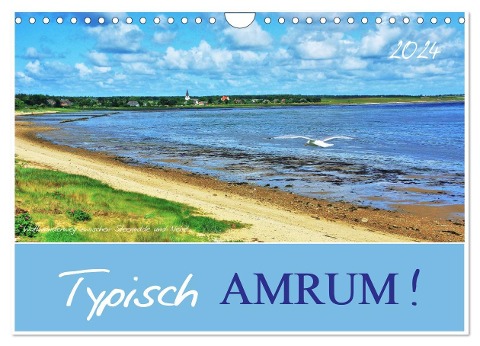 Typisch Amrum! (Wandkalender 2024 DIN A4 quer), CALVENDO Monatskalender - Jutta Heußlein