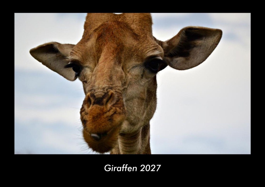 Giraffen 2027 Fotokalender DIN A3 - Tobias Becker