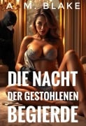 Cover-Bild zum Titel 'Die Nacht der gestohlenen Begierde' von 'A. M. Blake'