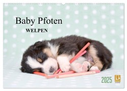 Baby Pfoten (Wandkalender 2025 DIN A2 quer), CALVENDO Monatskalender - Natalie Eckelt