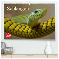 Schlangen (hochwertiger Premium Wandkalender 2025 DIN A2 quer), Kunstdruck in Hochglanz - Elisabeth Stanzer