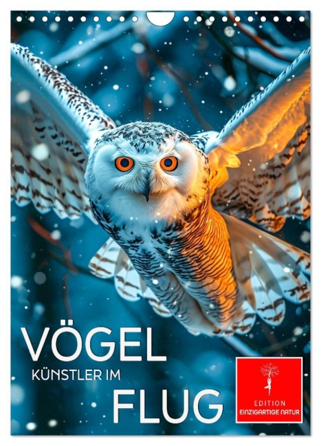 Vögel - Künstler im Flug (Wandkalender 2026 DIN A4 hoch), CALVENDO Monatskalender - Peter Roder