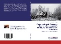 Cover-Bild zum Titel 'Ewropejskij Sewero-Vostok Rossijskoj imperii w nachale HH stoletiq' von 'Mihail Taskaew'