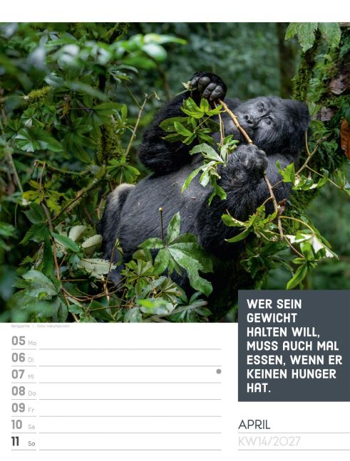 InsideView 18