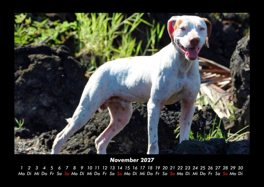 InsideView 3