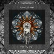 Cover-Bild zum Titel 'Feed My Soul' von 'Chakra Vimana'