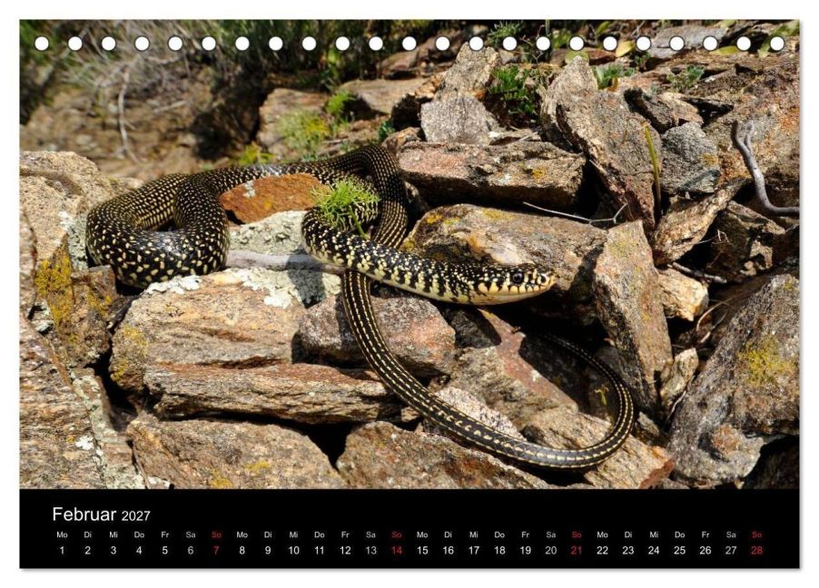 InsideView 7
