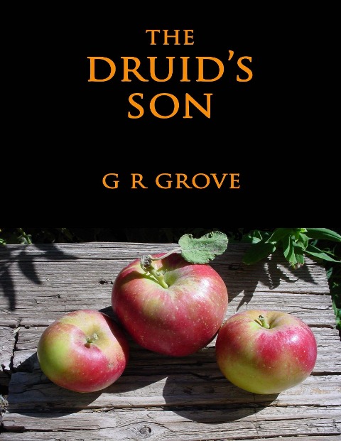 The Druid's Son - G. R. Grove