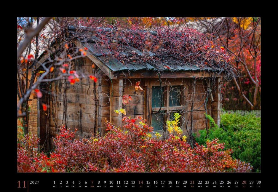 InsideView 11
