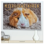 Cover-Bild zum Titel 'Meerschweinchen - so süß (hochwertiger Premium Wandkalender 2026 DIN A2 quer), Kunstdruck in Hochglanz' von 'Peter Roder'