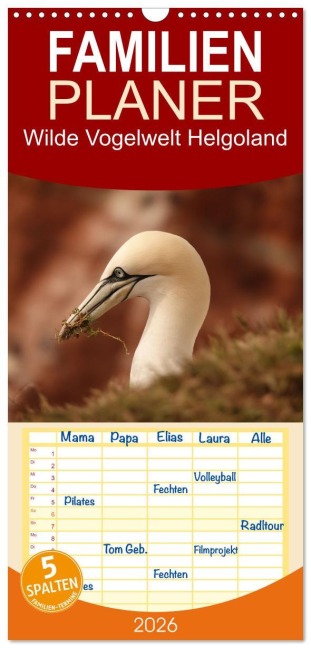 Familienplaner 2026 - Wilde Vogelwelt Helgoland mit 5 Spalten (Wandkalender, 21 x 45 cm) CALVENDO - Angelika Meister