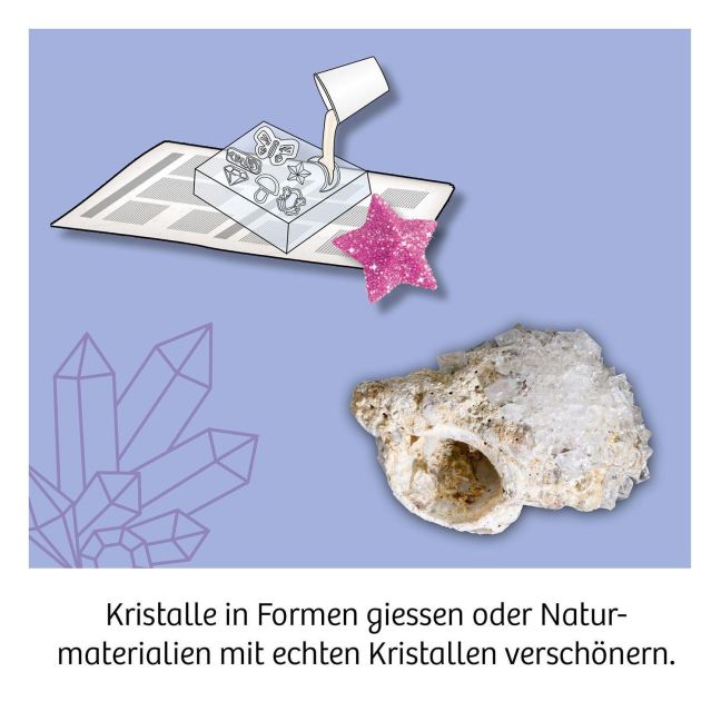 InsideView 2