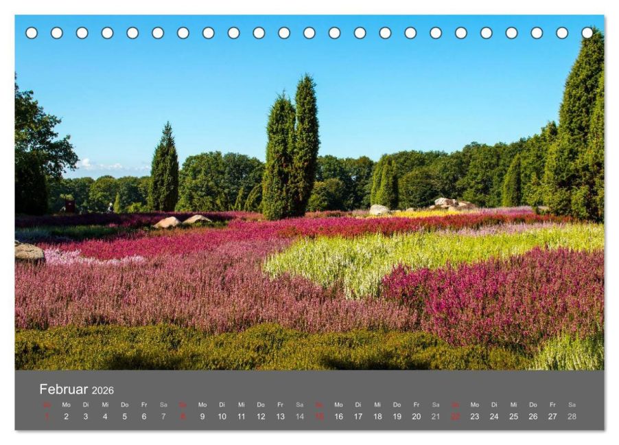 InsideView 7