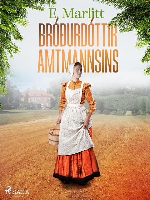 Bróðurdóttir amtmannsins - E. Marlitt