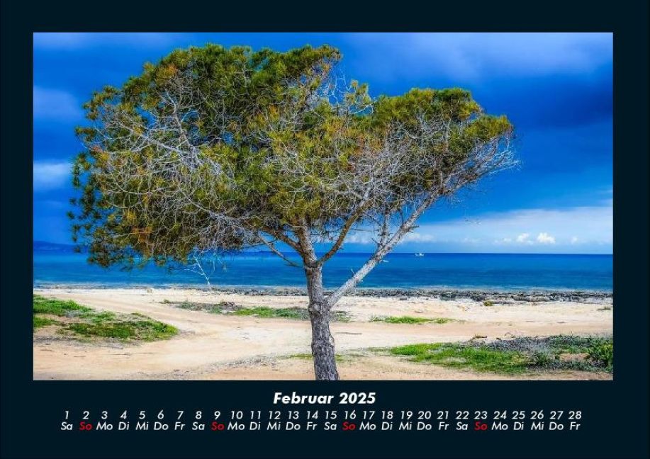 InsideView 6