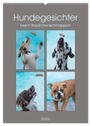 Hundegesichter beim Würstchenschnappen (Wandkalender 2026 DIN A2 hoch), CALVENDO Monatskalender - Sonja Teßen