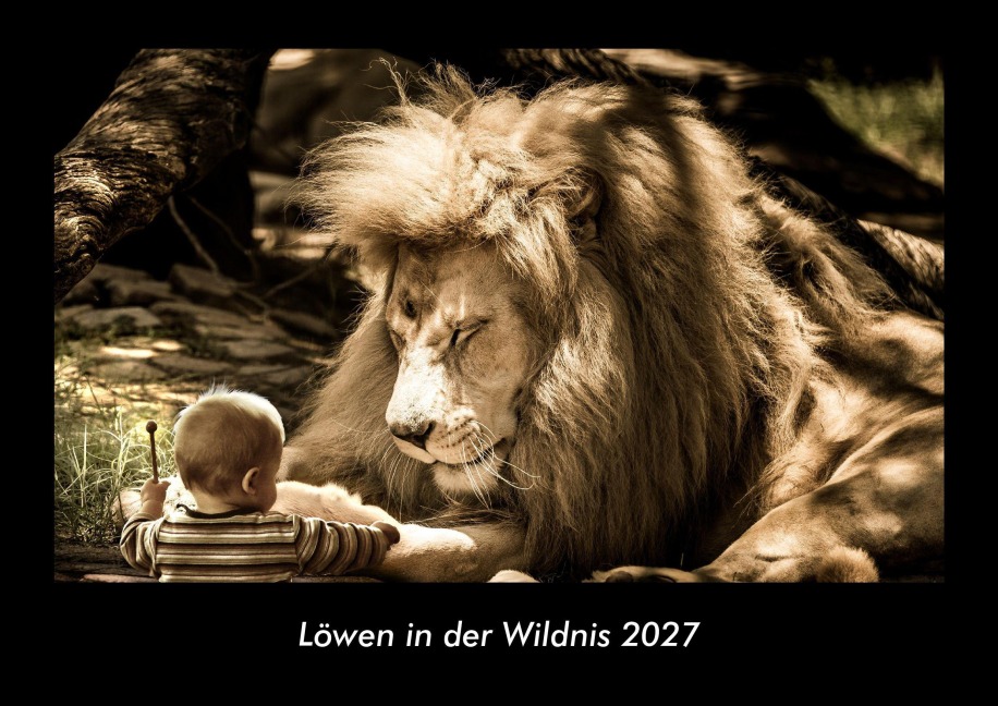 Löwen in der Wildnis 2027 Fotokalender DIN A3 - Tobias Becker