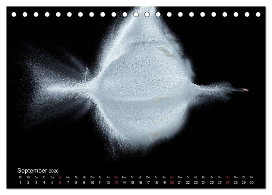 InsideView 14