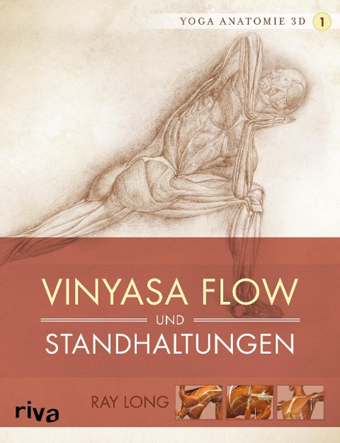 Yoga-Anatomie 3D. Vinyasa Flow und Standhaltungen - Ray Long