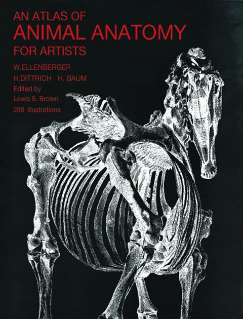 Atlas of Animal Anatomy for Artists - W. Ellenberger, Francis A. Davis
