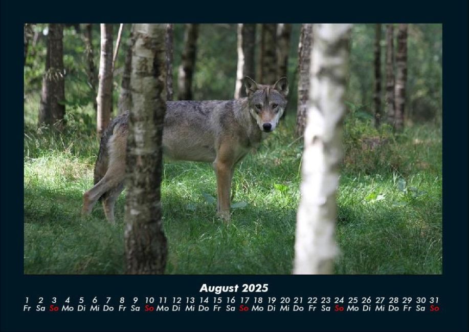 InsideView 12