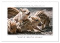 Emotionale Momente: Wilde Tiere der Heimat. (Wandkalender 2025 DIN A2 quer), CALVENDO Monatskalender - Ingo Gerlach GDT