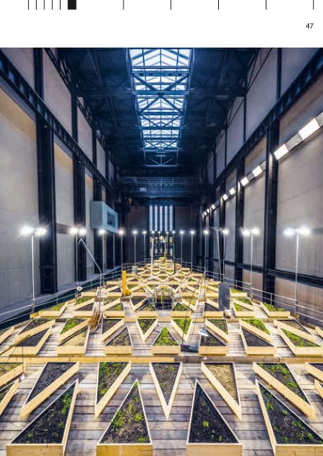 InsideView 11