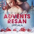 Cover-Bild zum Titel 'Adventsresan 2: Uppsala - erotisk adventskalender' von 'B. J. Hermansson'