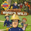 Cover-Bild zum Titel 'Folgen 53-57: In Pontypandy wird's wild' von 'Stefan Eckel, Ulrich Georg, Jakob Riedl'