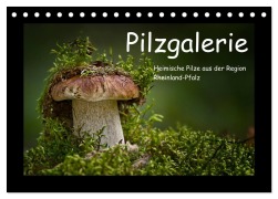 Cover-Bild zum Titel 'Pilzgalerie - Heimische Pilze aus der Region Rheinland-Pfalz (Tischkalender 2026 DIN A5 quer), CALVENDO Monatskalender' von 'Beate Wurster'