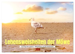Cover-Bild zum Titel 'Lebensweisheiten der Möwe - Im Flug des Lebens (Wandkalender 2026 DIN A3 quer), CALVENDO Monatskalender' von 'Bihlmayer-Media Bihlmayer-Media'