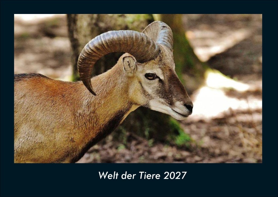 Welt der Tiere 2027 Fotokalender DIN A4 - Kevin Heber, Tobias Schmitt