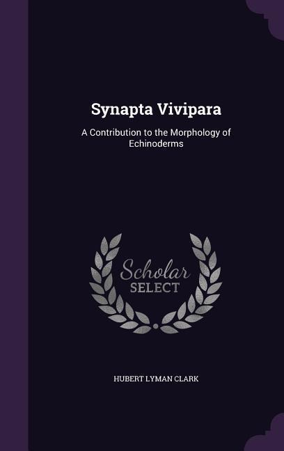 Synapta Vivipara - Hubert Lyman Clark