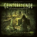 Cover-Bild zum Titel 'Nacht der zwei Monde' von 'C. B. Andergast, Sven Schreivogel'