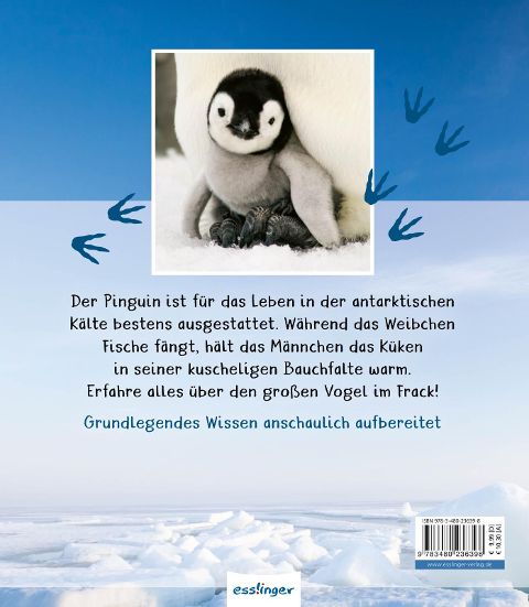 InsideView 6