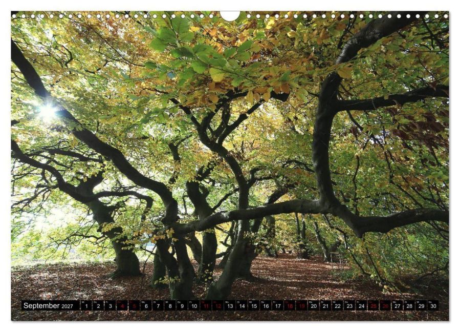 InsideView 14
