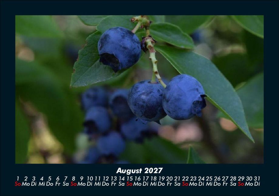 InsideView 12