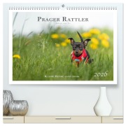 Cover-Bild zum Titel 'Prager Rattler - Black and Tan - Kleine Hunde ganz groß (hochwertiger Premium Wandkalender 2026 DIN A2 quer), Kunstdruck in Hochglanz' von 'Julo Seelenbilder'
