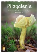 Cover-Bild zum Titel 'Pilzgalerie - Faszinierende Pilzaufnahmen aus der Region Rheinland-Pfalz (Wandkalender 2026 DIN A2 hoch), CALVENDO Monatskalender' von 'Beate Wurster'